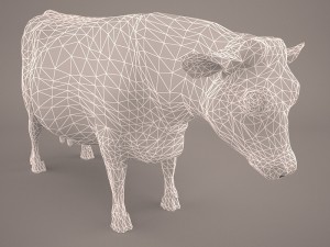 Cow animal 3D 모델