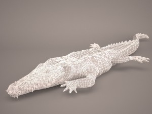 Cartoon crocodile 3D मॉडल