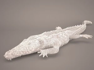 Cartoon crocodile 3D Model