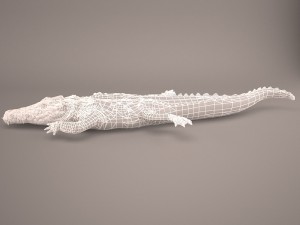 Cartoon crocodile 3D मॉडल