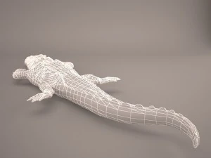 Cartoon crocodile 3D Model