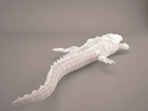 Cartoon crocodile 3D Model
