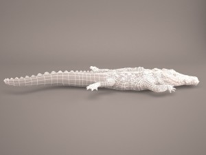 Cartoon crocodile 3D मॉडल