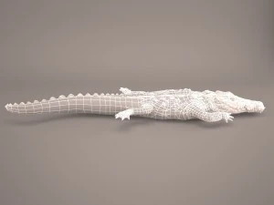 Cartoon crocodile 3D Model