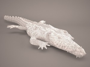 Cartoon crocodile 3D मॉडल