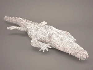 Cartoon crocodile 3D Model