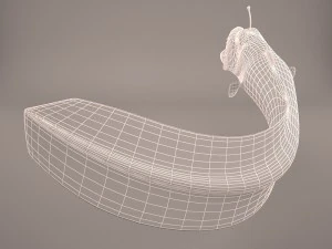 深海魚 3Dモデル