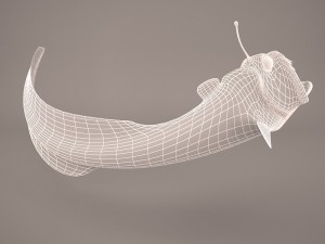Deep sea fish 3D Model