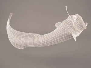 深海魚 3Dモデル