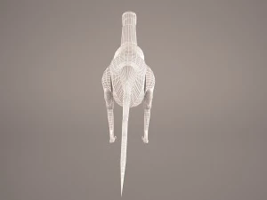 Cartoon dinosaur 3D Model