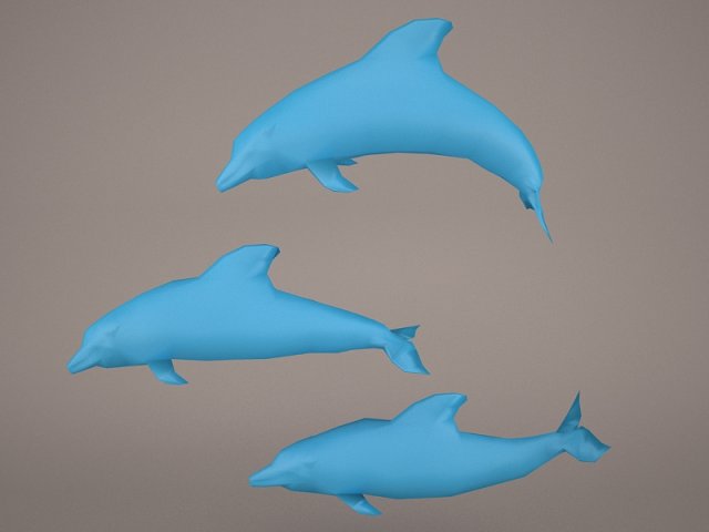 navy dolphins 3d