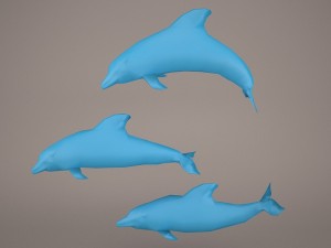 dolphins 3D Model