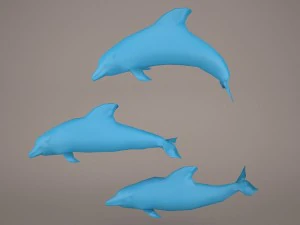 Yunuslar 3D Model