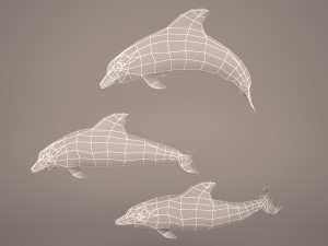 Dolphins 3D 模型