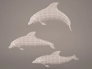 Dolphins 3D Model
