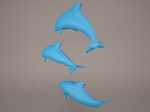 Dolphins 3D 模型