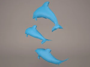Dolphins 3D Model