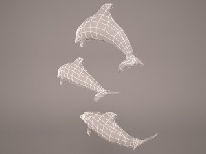 Dolphins 3D 模型