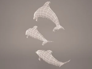 Dolphins 3D Model