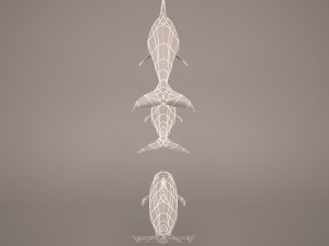 Dolphins 3D 模型