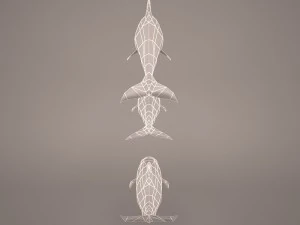 Dolphins 3D Model