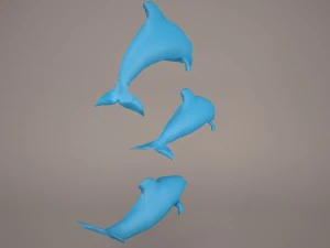 Dolphins 3D Model
