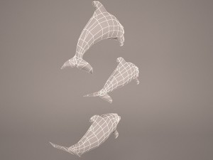 Dolphins 3D 模型