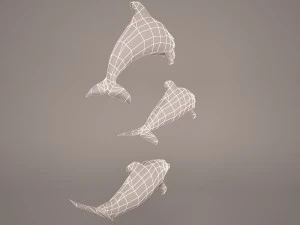 Dolphins 3D Model