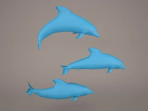 Dolphins 3D Model