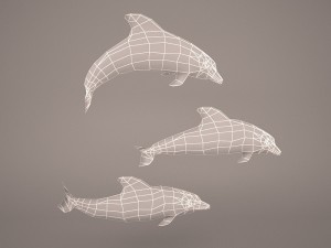 Dolphins 3D 模型