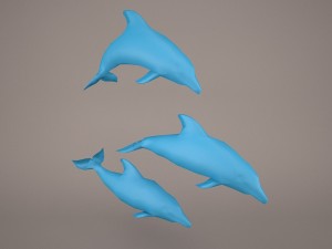 Dolphins 3D 模型