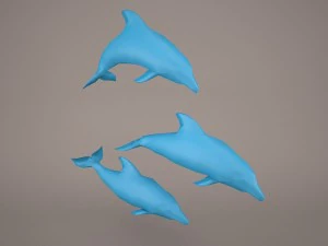 Dolphins 3D Model