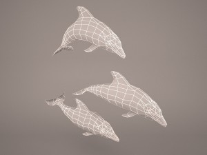 Dolphins 3D 模型