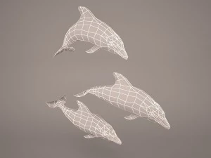 Dolphins 3D Model