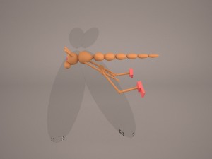 cartoon dragonfly 3D मॉडल