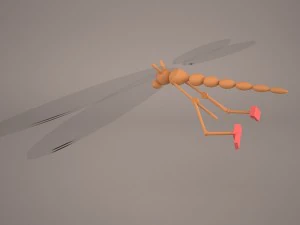 cartoon dragonfly 3D Model