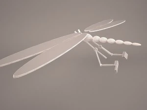 cartoon dragonfly 3D Model