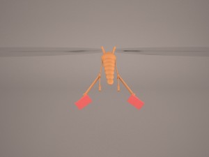 cartoon dragonfly 3D मॉडल
