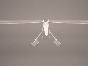 cartoon dragonfly 3D मॉडल