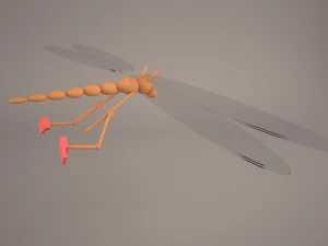 cartoon dragonfly 3D Model