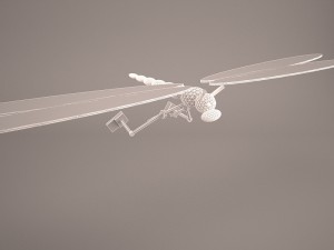 cartoon dragonfly 3D मॉडल