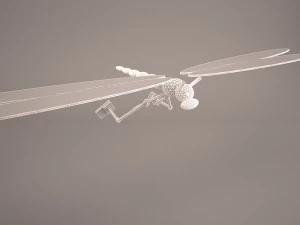 cartoon dragonfly 3D Model