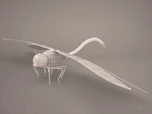 Cartoon dragonfly 1 3D Model