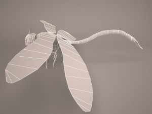 Cartoon dragonfly 1 3D Model