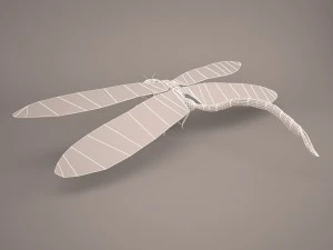 Cartoon dragonfly 1 3D Model