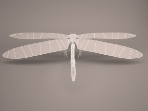 Cartoon dragonfly 1 3D Model