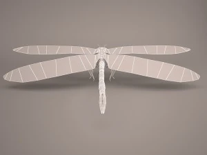 Cartoon dragonfly 1 3D Model