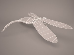 Cartoon dragonfly 1 3D Model