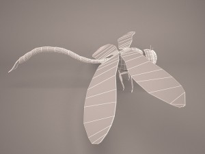 Cartoon dragonfly 1 3D Model