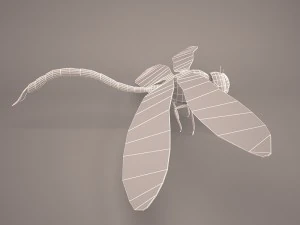Cartoon dragonfly 1 3D Model